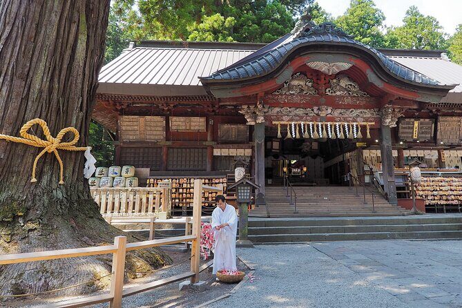 Mt.Fuji Private SightSeeing Day Tour (From Tokyo) - Pricing and Value