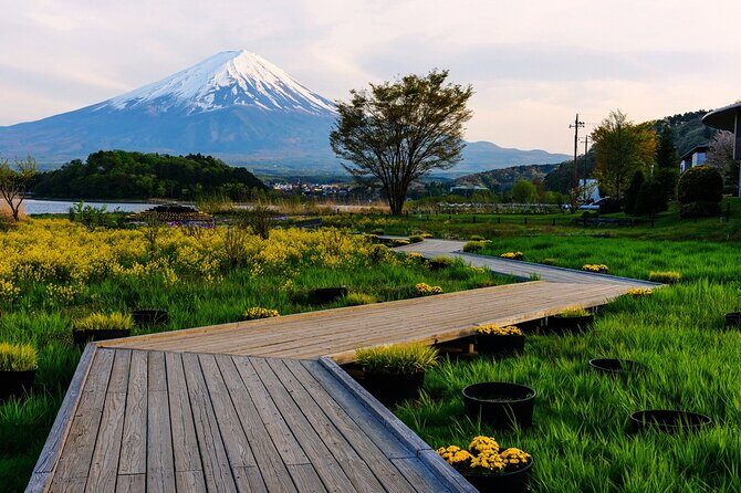 Mt.Fuji Private SightSeeing Day Tour (From Tokyo) - Who Is This Tour Best For?