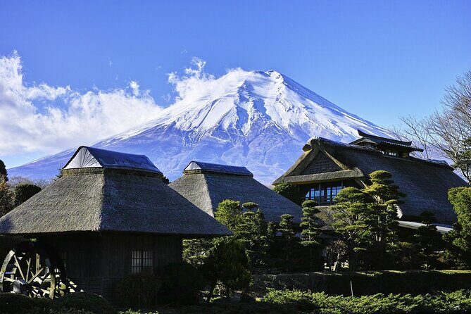 Mt Fuji Private Sightseeing Day Trip With English Speaking Driver - Who Should Consider This Tour?