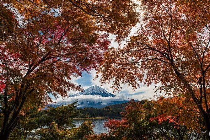 Mt. Fuji Private Tour by Car with Pick-up from Tokyo - Who Would Love This Tour?