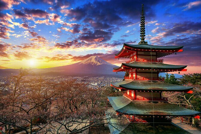 MT. FUJI/ Private Tour delivered and guided by a top-tier driver - Authentic Insights from Reviewers