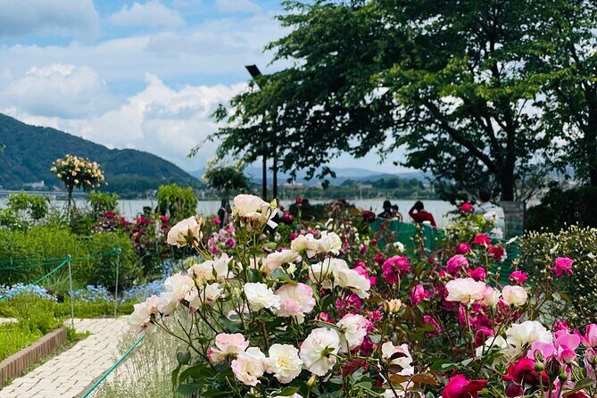 Mt Fuji Private Tour with English Speaking Driver - Who Should Book This Tour?