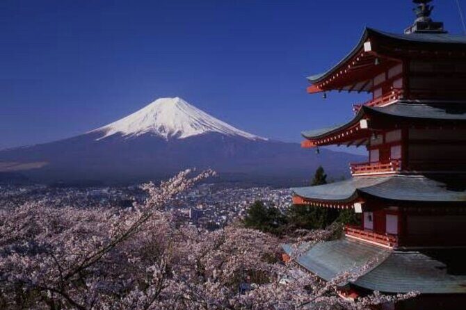 Mt Fuji Private Tour with English Speaking Driver - FAQ