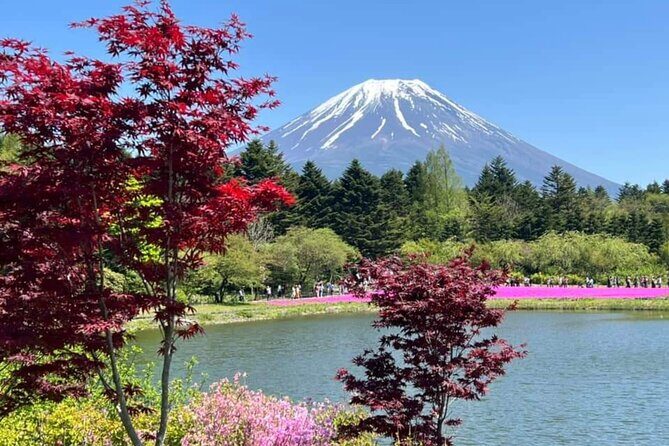 Mt Fuji Private Tour with English speaking driver - In-Depth Look at the Mount Fuji Private Tour
