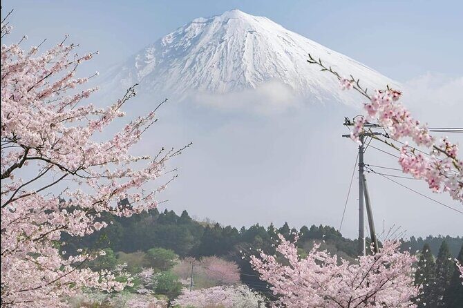 Mt Fuji Private Tour with English speaking driver - Practicalities & Value