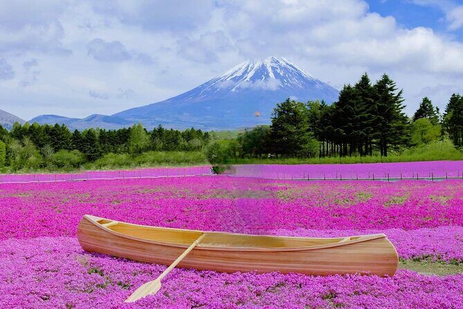 Mt Fuji Private Tour with English speaking driver - FAQ