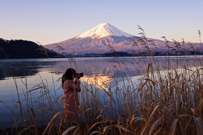 Mt. Fuji Private Tour with English Speaking Driver - A Deep Dive Into the Itinerary and What You Can Expect