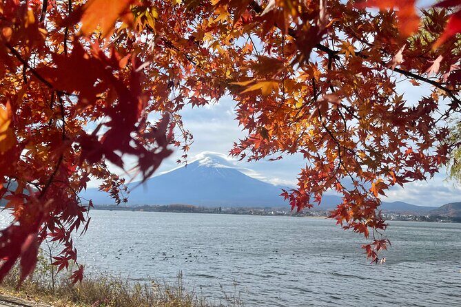 Mt. Fuji Private Tour with English Speaking Driver - What Reviewers Say