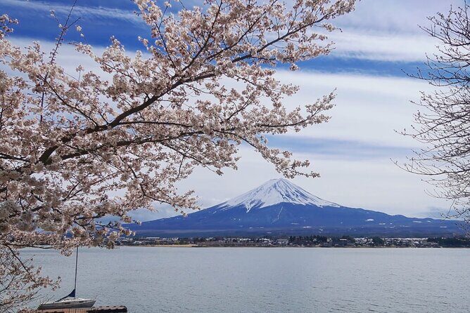 Mt. Fuji Private Tour with English Speaking Driver - The Sum Up: Who is This Tour Perfect For?