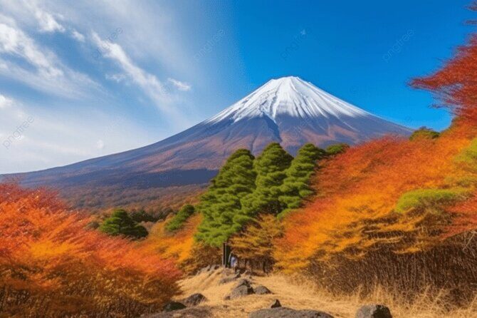 Mt Fuji Private Tour with Native Japanese Driver - The Experience in Detail: What You Can Expect