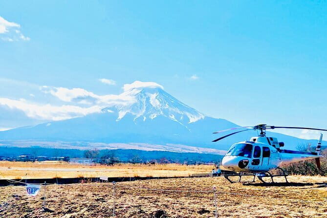 Mt. Fuji Shiba Sakura Festival and Hoto Noodle Making - FAQ