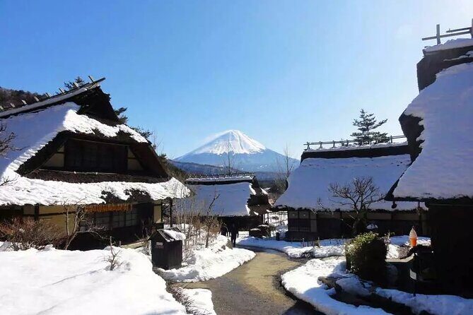 Mt.Fuji Tour: 3-Parks & The Healing Village in Fujiyoshida, Japan - A Full Breakdown of the Itinerary