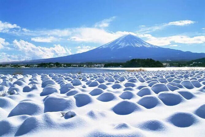 Mt.Fuji Tour: 3-Parks & The Healing Village in Fujiyoshida, Japan - Frequently Asked Questions