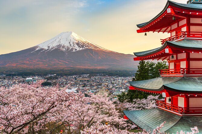 Mt Fuji Tour with Private English Speaking Driver from Tokyo - Why Choose This Mount Fuji Tour?