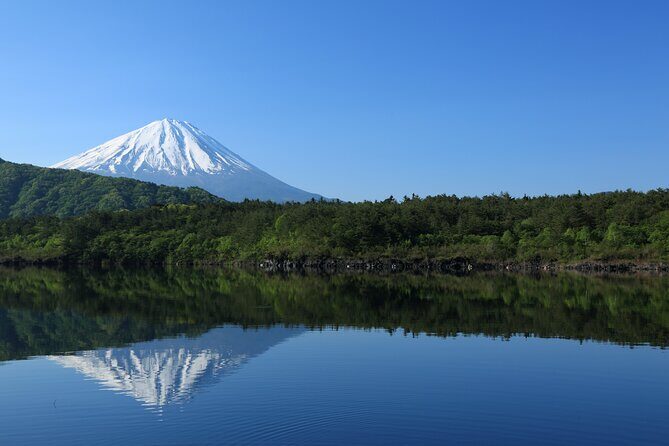 Mt Fuji Tour with Private English Speaking Driver from Tokyo - Practical Details and What to Expect