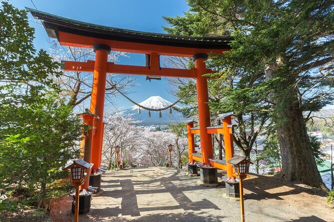 Mt Fuji Tour with Private English Speaking Driver from Tokyo - Who Is This Tour Best For?