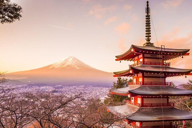 Mt. Fuji Tours with Kawaguchi Lake Ropeway View English Speaking - Practical Details: What to Expect