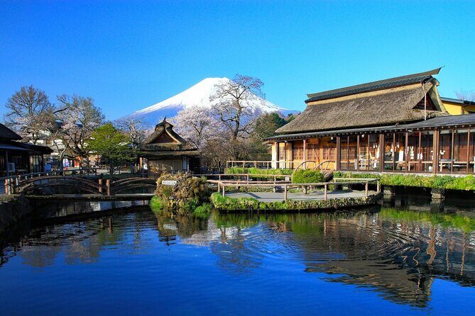 Mt. Fuji Tours with Kawaguchi Lake Ropeway View English Speaking - Final Words