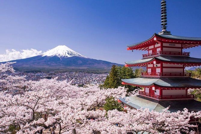 Mt. Fuji View and 2hours+ free time at Gotemba Premium Outlets - Exploring the Mt. Fuji View and Gotemba Premium Outlets Tour: A Practical Look