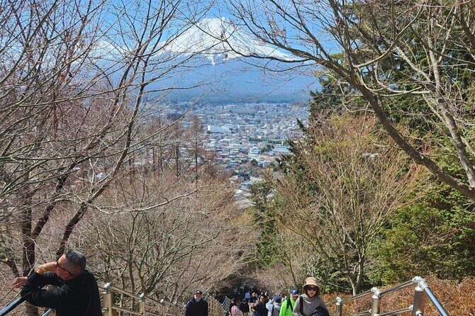 Mt.Fuji view Hakone Private tour with English speaking driver - Final Thoughts