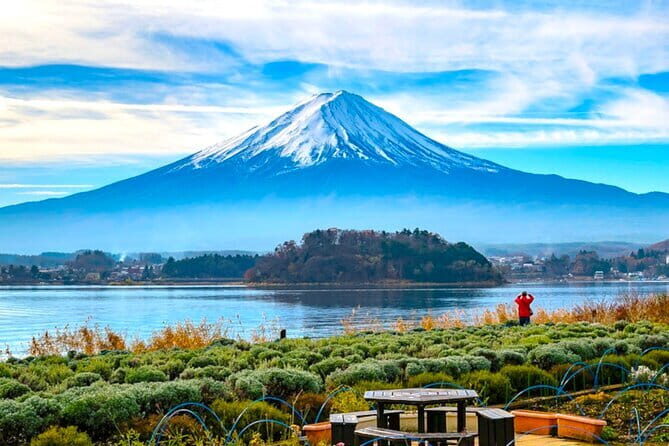 Mt. Fuji viewing & Suntory Hakushu Distillery Whisky Museum - FAQs