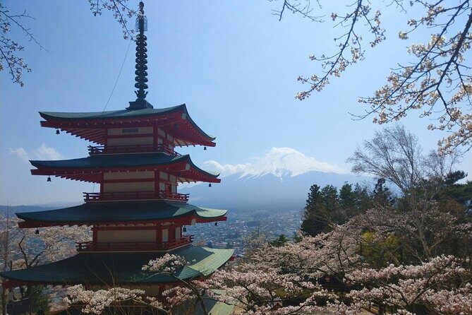 Mt Fuji with Kawaguchiko Lake Day Tour - A Deep Dive into the Experience