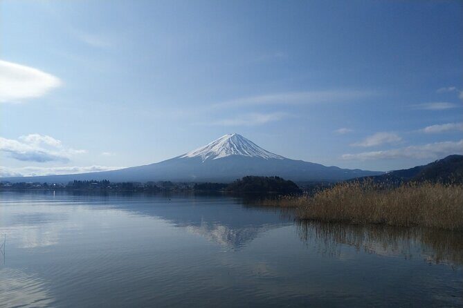 Mt Fuji with Kawaguchiko Lake Day Tour - Who Will Enjoy This Tour?