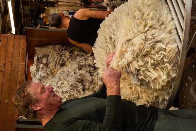 Mt. Hay Farm Experience Genuine Country Farming(Carbon Positive) - What the Mt. Hay Farm Experience Offers