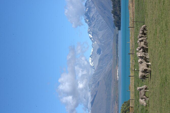Mt. Hay Farm Experience Genuine Country Farming(Carbon Positive) - Authenticity and Learning Opportunities