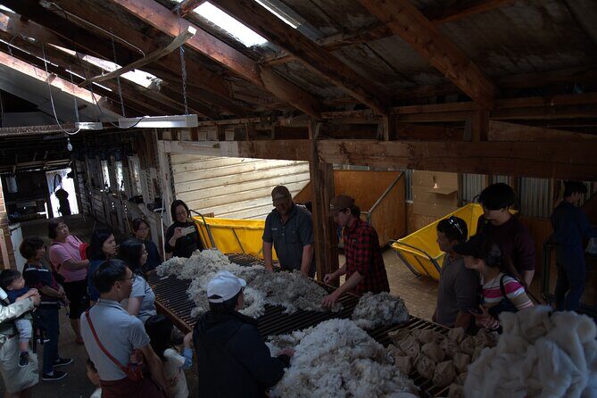 Mt. Hay Farm Experience Genuine Country Farming(Carbon Positive) - Visual and Emotional Impact