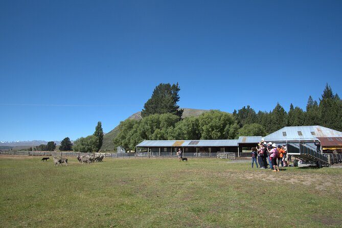 Mt. Hay Farm Experience Genuine Country Farming(Carbon Positive) - Who Will Love This Tour?