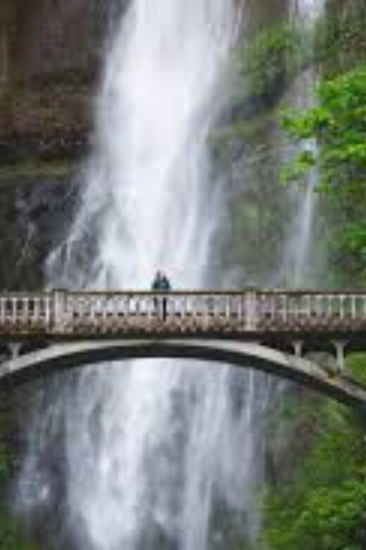 Mt Hood & Columbia River Private tour from Portland - Key Points