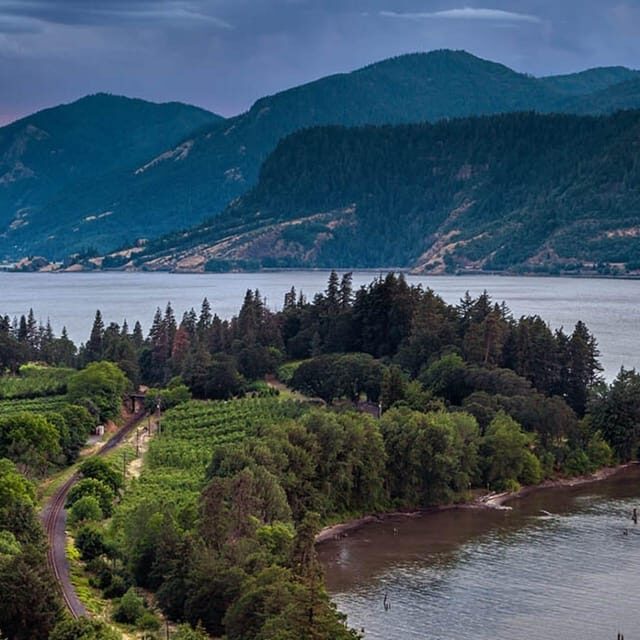 Mt Hood & Columbia River Private tour from Portland - An In-Depth Look at the Experience