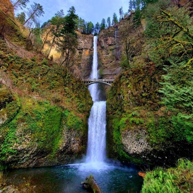 Mt Hood & Columbia River Private tour from Portland - FAQ