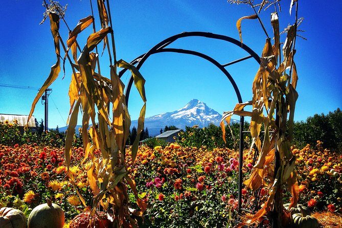 Mt Hood Loop Tour including Multnomah Falls - Authentic Traveler Insights