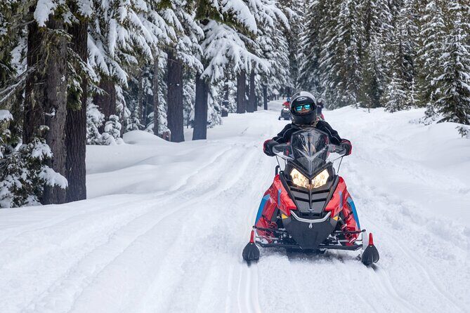 Mt Hood National Forest - 90 Minute Snowmobile Adventure - Key Points