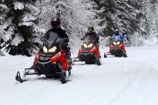 Mt Hood National Forest - 90 Minute Snowmobile Adventure - An In-Depth Look at the Snowmobile Tour