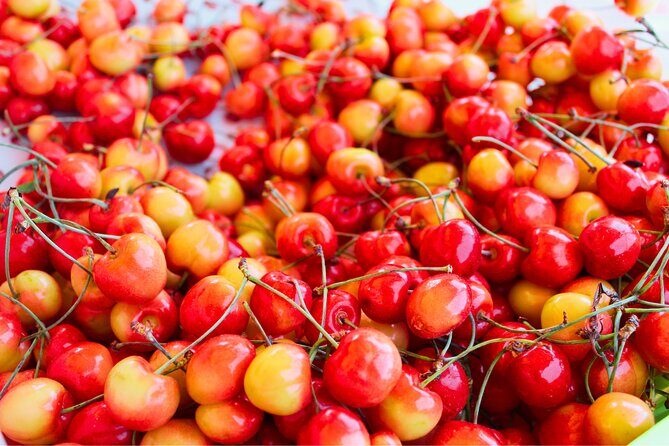 Mt Hood, Waterfalls, and Wine Tour with Tasting Fees Included - Wrapping Up