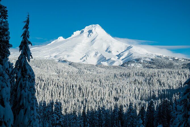 Mt. Hood Winter Wonderland Snowshoe Adventure - An In-Depth Look at the Tour