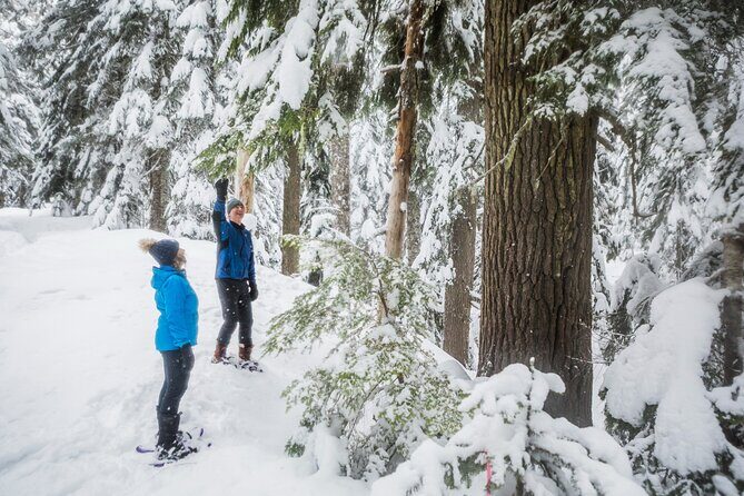 Mt. Hood Winter Wonderland Snowshoe Adventure - Frequently Asked Questions