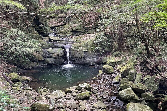 Mt. Inunaki Trekking and Waterfall Training in Izumisano Osaka - Exploring the Mt. Inunaki Trekking and Waterfall Training in Izumisano Osaka