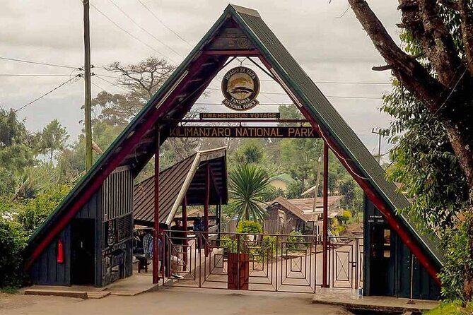 Mt Kilimanjaro Hiking via Marangu Route Day Trip - An In-Depth Look at the Mt. Kilimanjaro Day Trip