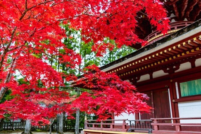 Mt Koya 1 Day Bus Tour from Osaka - Why This Tour Might Be a Great Fit for You