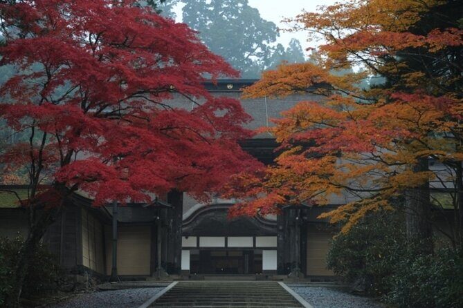 Mt Koya 1 Day Bus Tour from Osaka - Transportation and Group Size