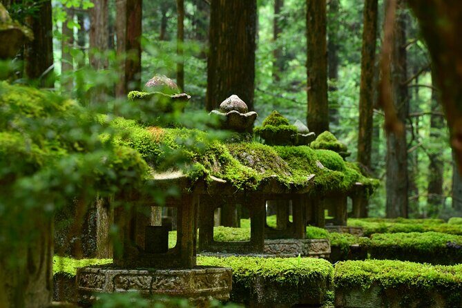 Mt. Koya 8hr Tour from Osaka: English speaking Driver, No Guide - The Journey from Osaka to Mt. Koya: What to Expect