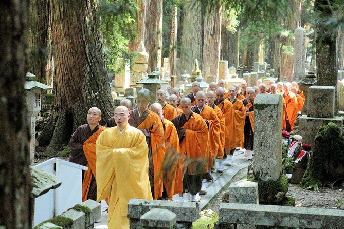 Mt. Koya Sacred 6hr Private Tour with Government Licensed Guide - Introduction