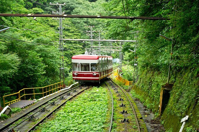 Mt. Koya Sacred 6hr Private Tour with Government Licensed Guide - Who Is This Tour Best For?