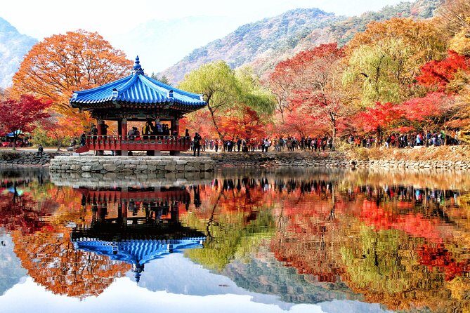 MT. Naejang Autumn Foliage and Jeonju Hanok village 1 Day Tour - Exploring Korea’s Natural and Cultural Treasures in a Single Day