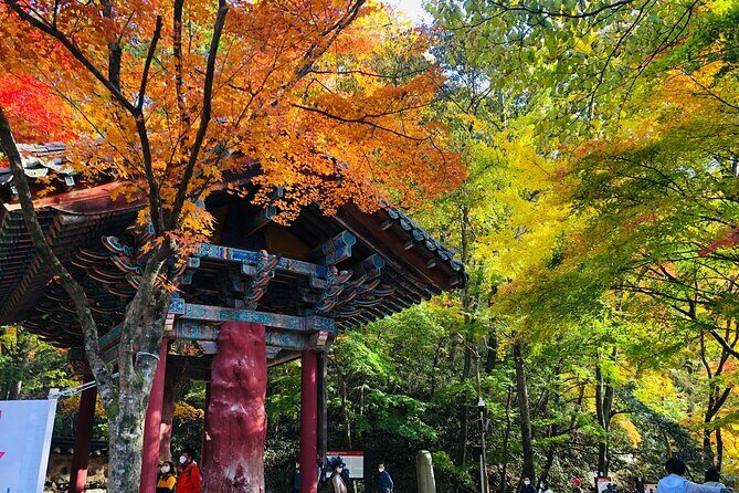 MT. Naejang Autumn Foliage and Jeonju Hanok village 1 Day Tour - A Deep Dive into the Itinerary