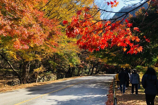 MT. Naejang Autumn Foliage and Jeonju Hanok village 1 Day Tour - Who Will Love This Tour?